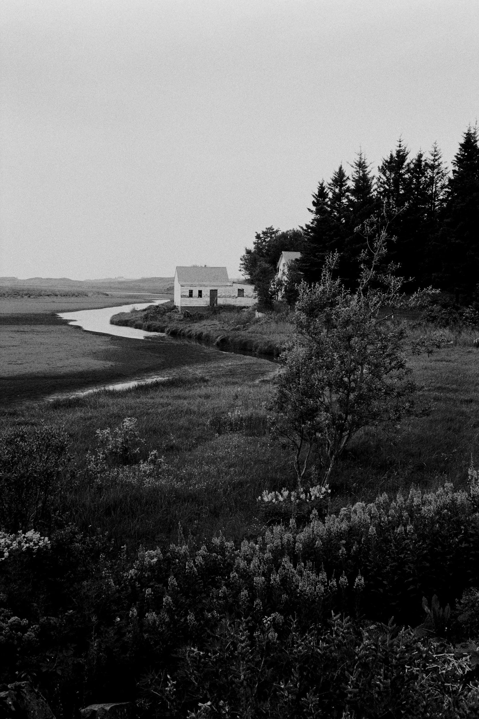 020_20250720_LEICA_CL_KENTMERE_400_17